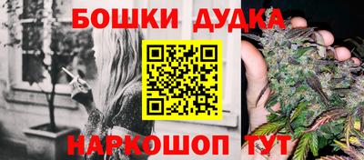 дмт Будённовск