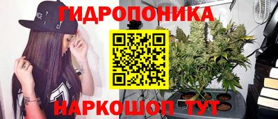 дмт Будённовск