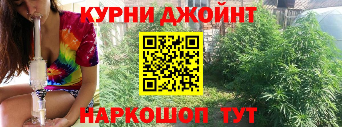 Конопля MAZAR  Вход с VPN  Находка  Бошки Шишки конопля 